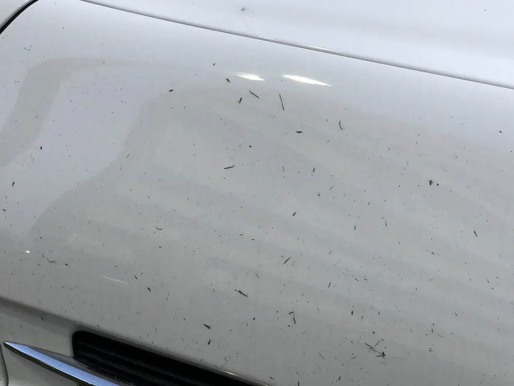 Trusted lawn care service in Eatontown, NJ by Greenleaf Landscape Systems & Services