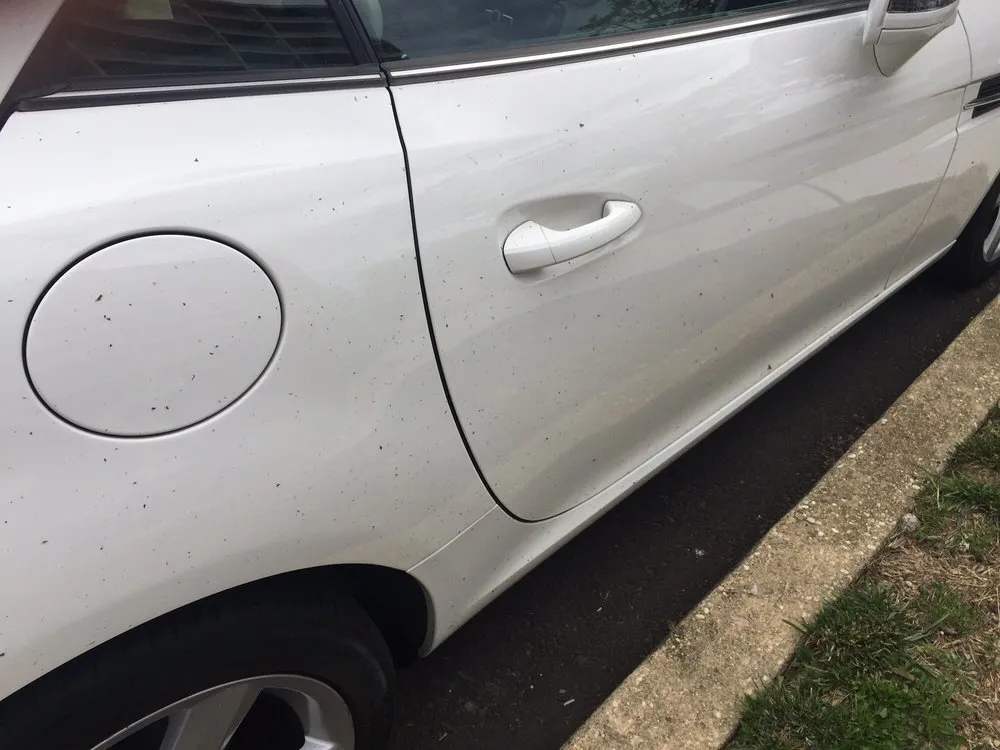 Custom garden landscaping near you across Eatontown, NJ - Greenleaf Landscape Systems & Services