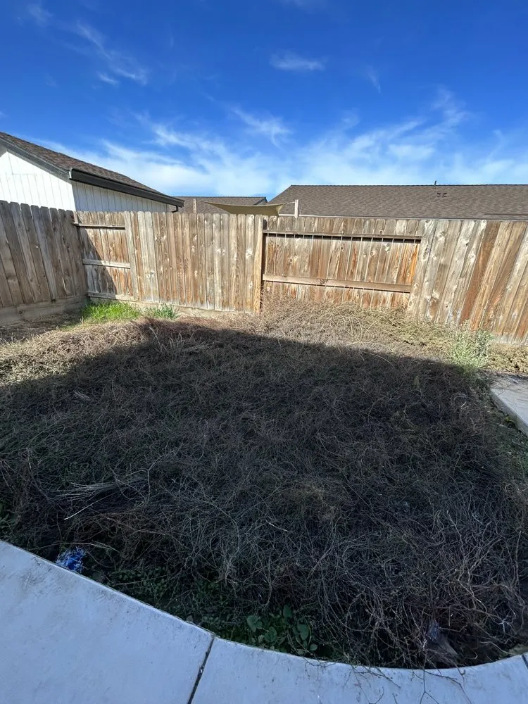 Expert yard maintenance near you across Merced, CA - Greenleaf Landscaping