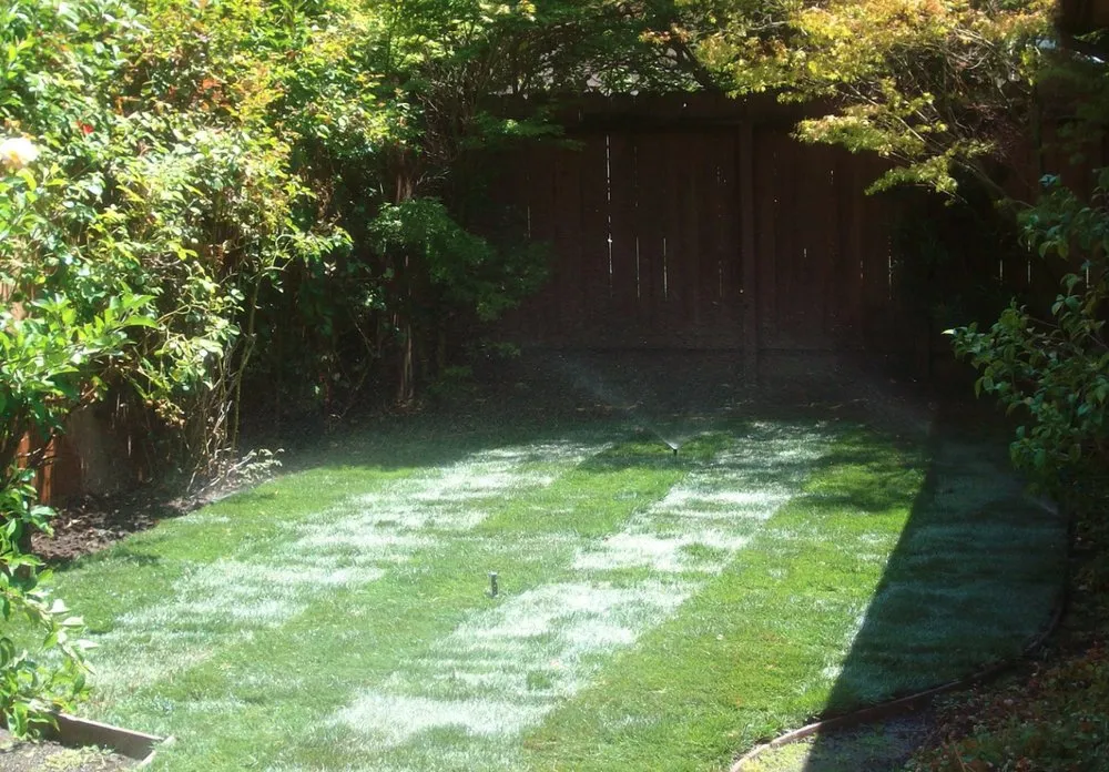 Expert yard maintenance for outdoor upgrades in Newark, CA by Greenleaf Landscaping
