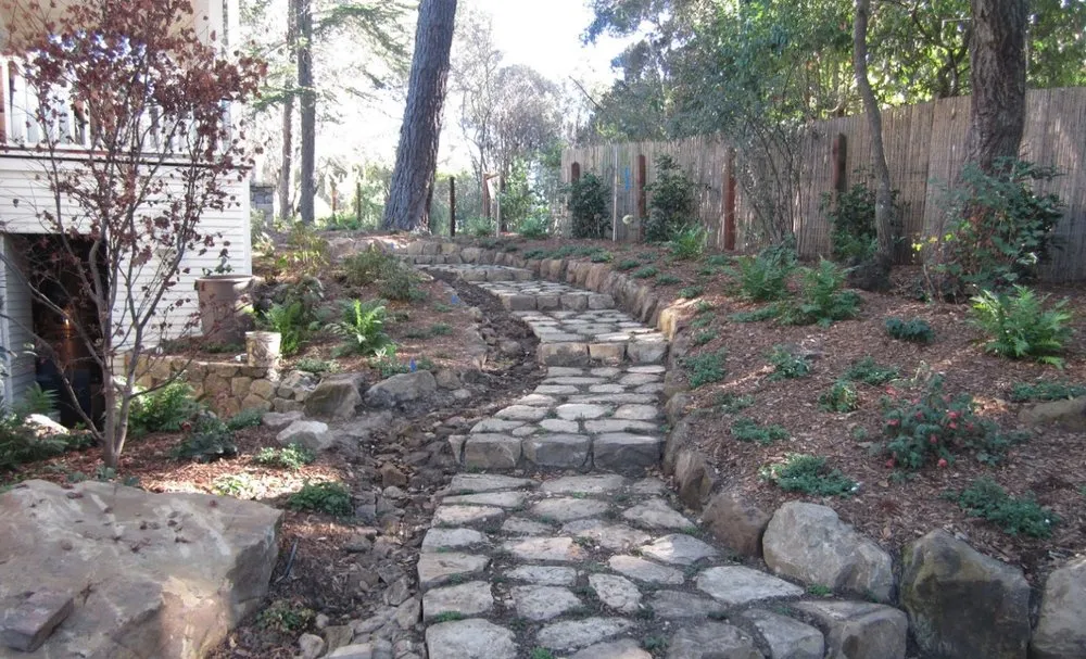 Expert yard maintenance for beautiful yards across Newark, CA - Greenleaf Landscaping