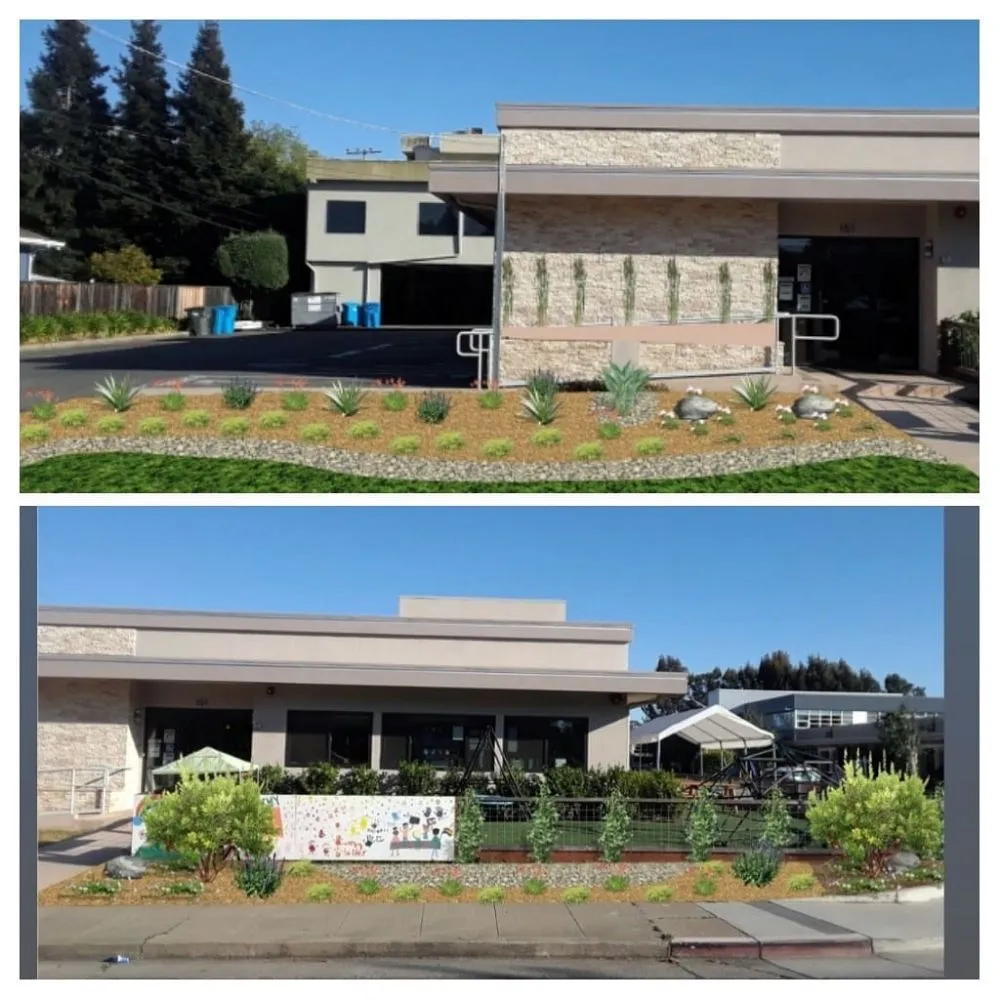 Top-rated garden landscaping for residential properties across Newark, CA - Greenleaf Landscaping