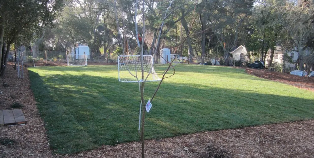 Reliable outdoor landscaping with custom design across Newark, CA - Greenleaf Landscaping