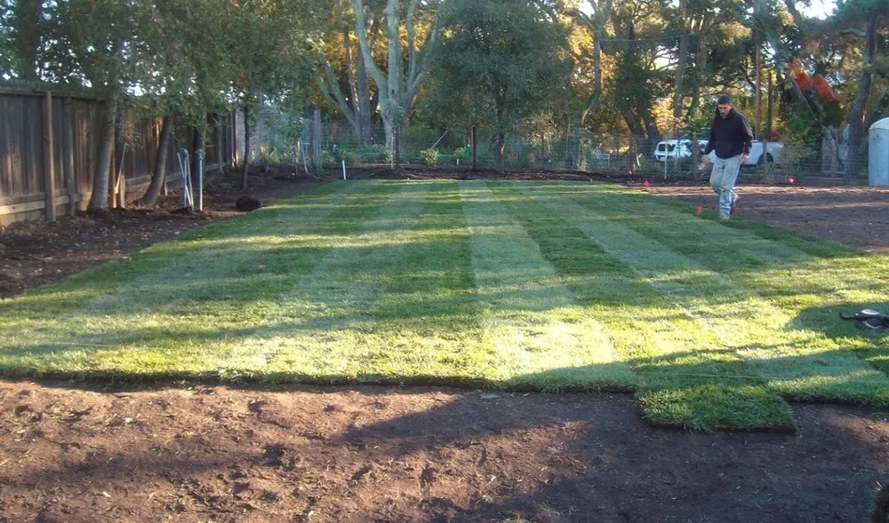 Local outdoor landscaping for residential properties in Newark, CA by Greenleaf Landscaping