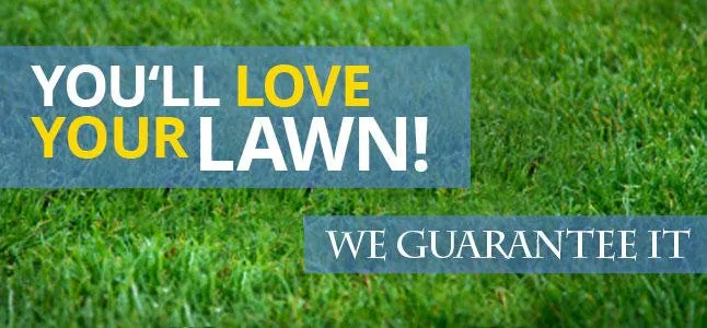 Reliable landscape installation with custom design across Tulsa, OK - Greenleaf Lawn