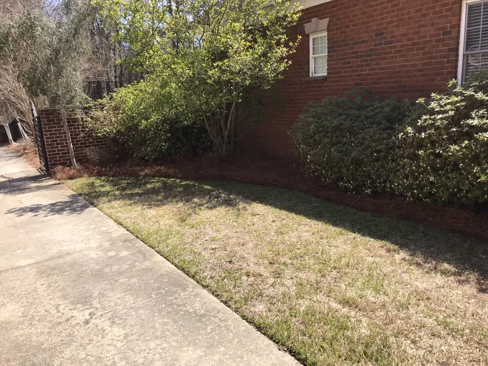 Local garden landscaping for year-round maintenance across Sumter, SC - Greenleaf Lawncare & more