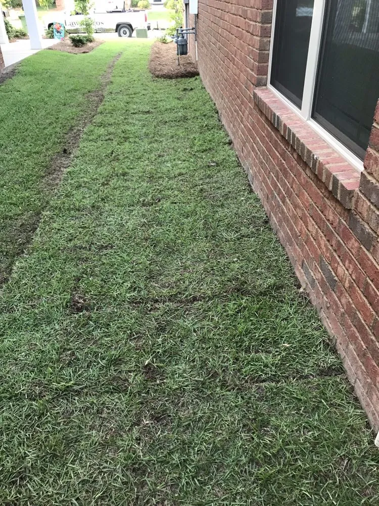 Custom yard maintenance in Sumter, SC by Greenleaf Lawncare & more