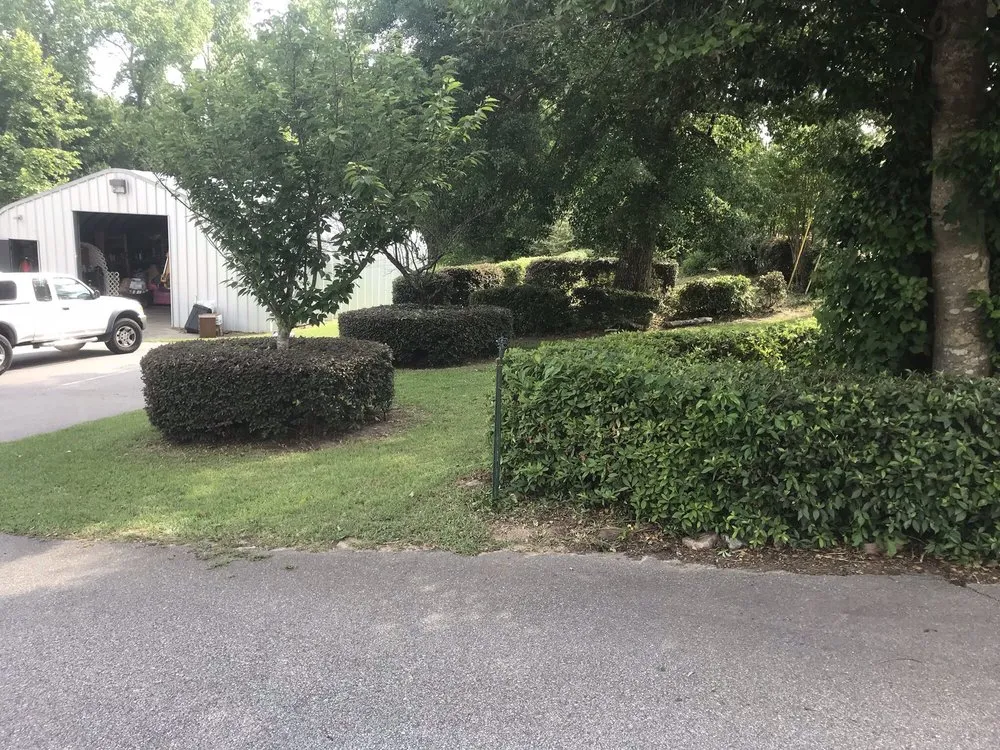 Trusted landscaping services for year-round maintenance across Sumter, SC - Greenleaf Lawncare & more