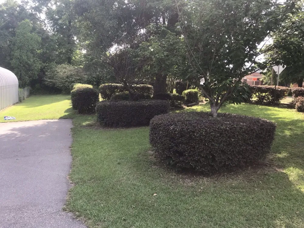 Trusted garden landscaping for outdoor upgrades in Sumter, SC by Greenleaf Lawncare & more