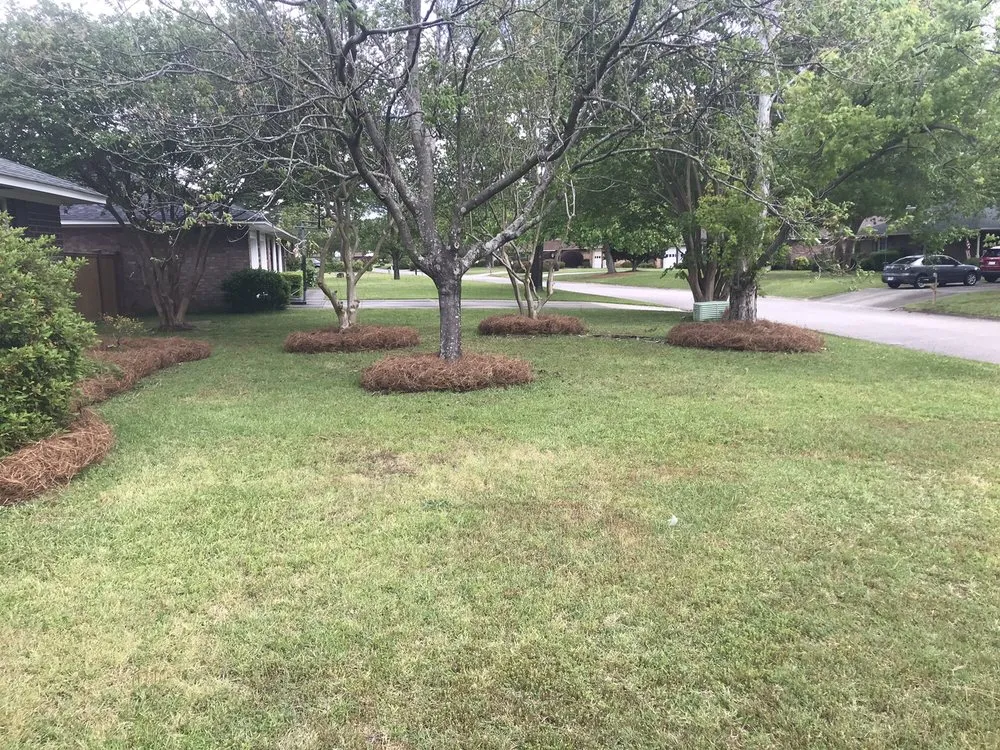 Top-rated lawn mowing service in Sumter, SC - Greenleaf Lawncare & more
