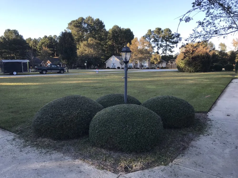Affordable landscaping services in Sumter, SC - Greenleaf Lawncare & more
