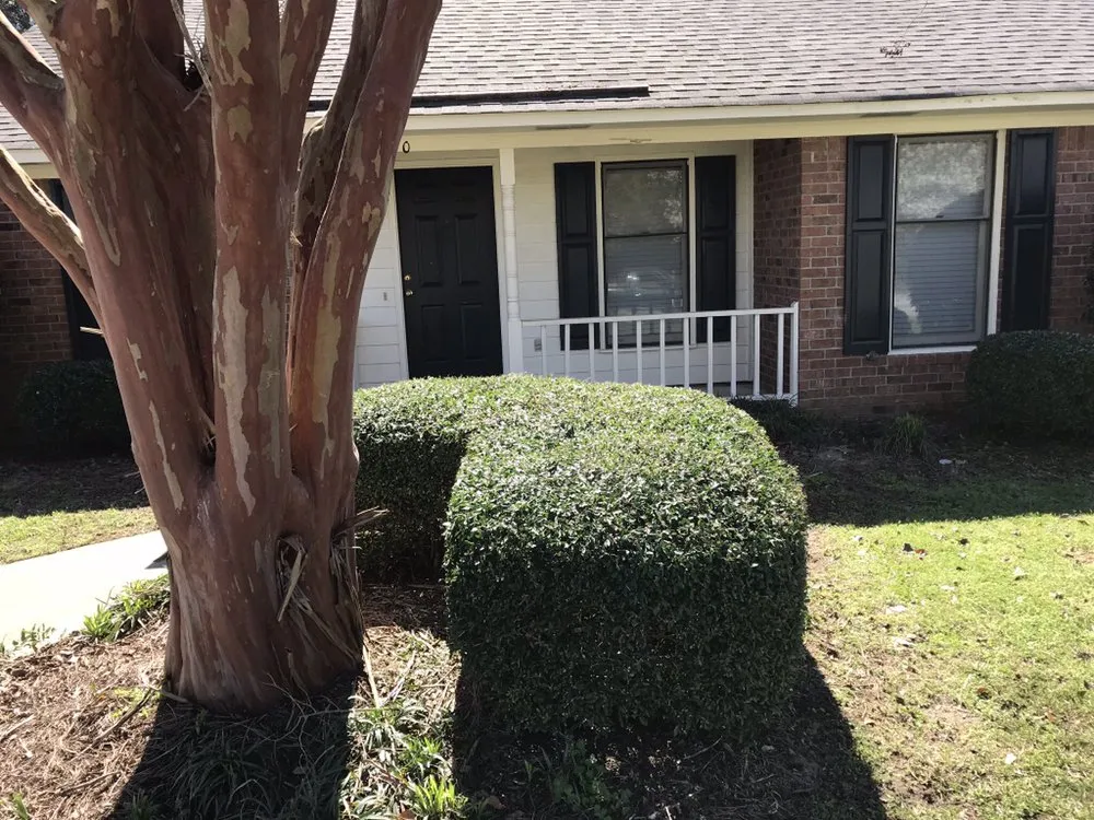 Affordable yard maintenance for beautiful yards across Sumter, SC - Greenleaf Lawncare & more