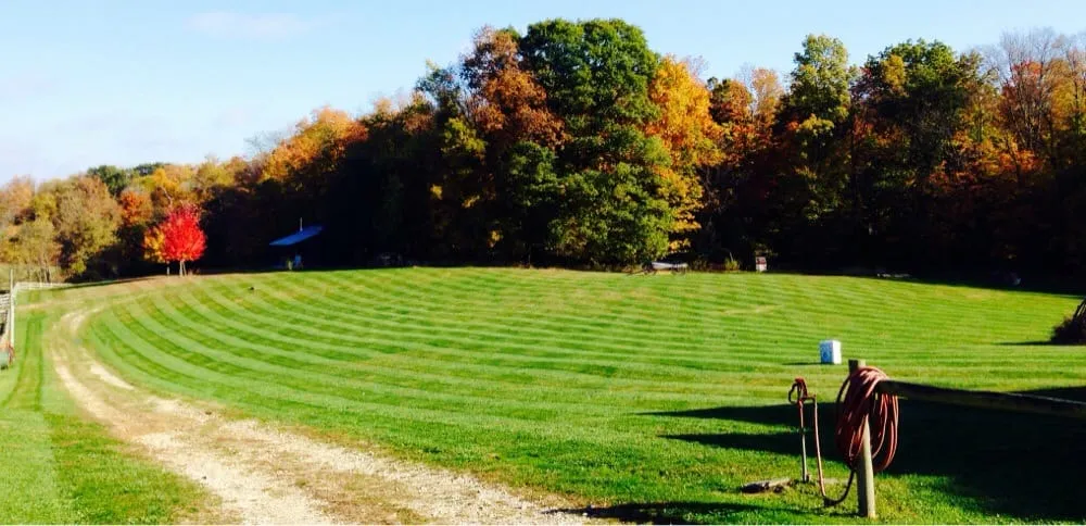 Expert outdoor landscaping for residential properties across Blacklick, OH - Greenleaf Lawns