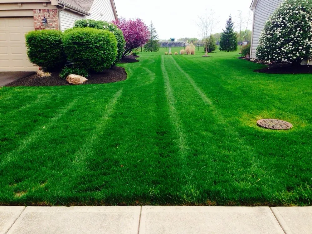 Expert residential landscaping experts serving Blacklick, OH - Greenleaf Lawns