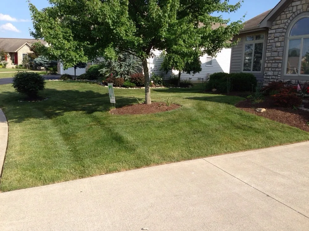 Top-rated yard cleanup service in Blacklick, OH by Greenleaf Lawns