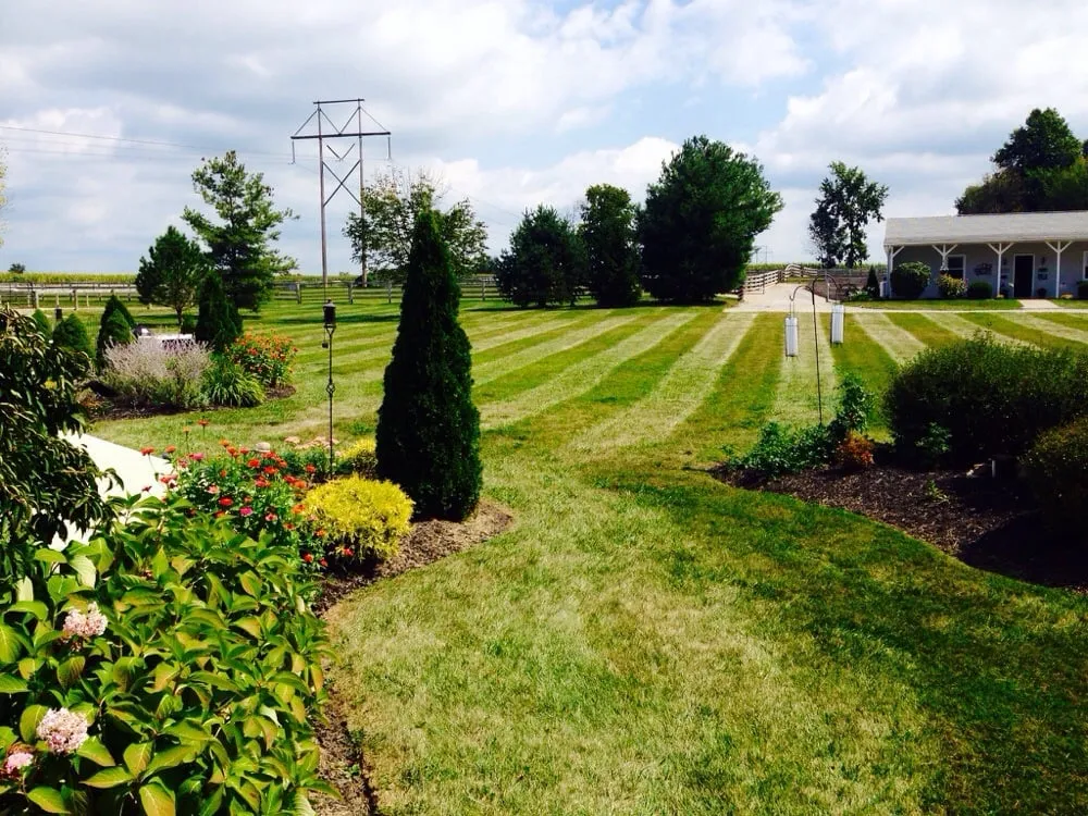 Trusted lawn care service in Blacklick, OH - Greenleaf Lawns