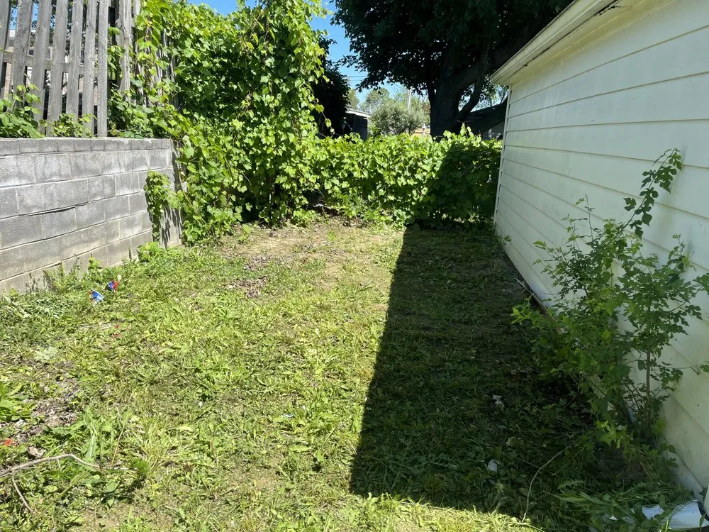 Affordable yard cleanup service in Dearborn Heights, MI by Greenleaf mowing