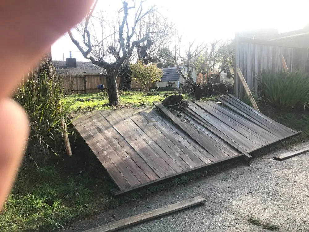 Professional landscaping services in Nederland, CO by GreenLeaf Organics Home and Garden