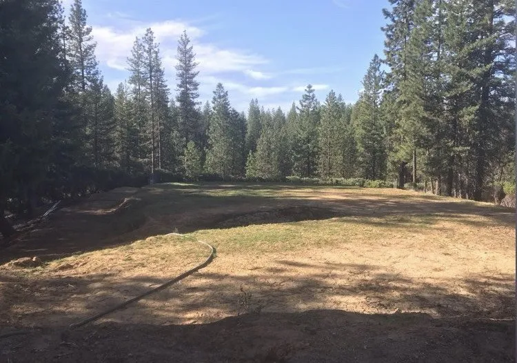 Affordable yard cleanup service for outdoor upgrades across Nederland, CO - GreenLeaf Organics Home and Garden