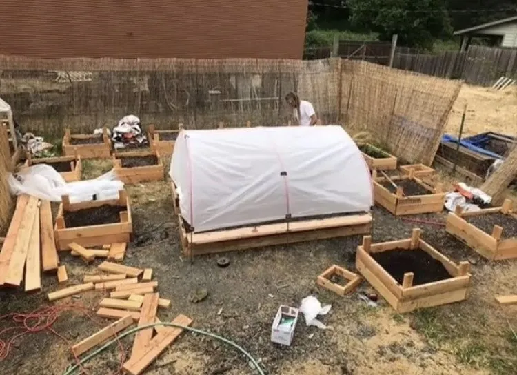 Reliable lawn mowing service in Nederland, CO by GreenLeaf Organics Home and Garden