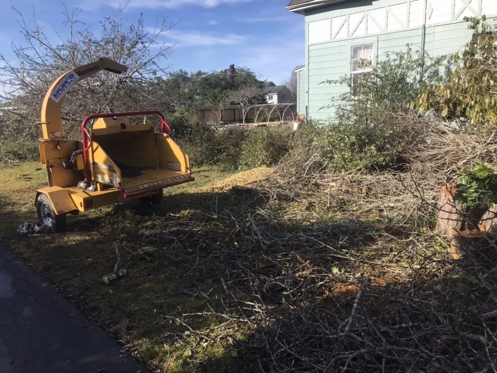 Local lawn care service for year-round maintenance across Nederland, CO - GreenLeaf Organics Home and Garden