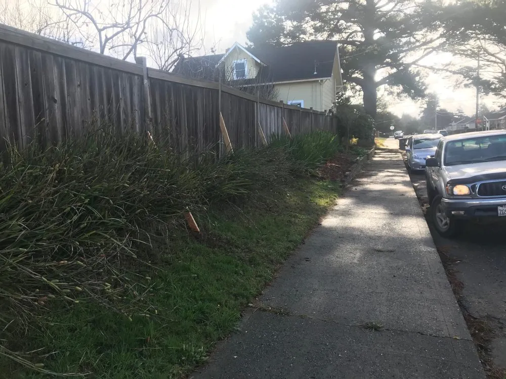 Top-rated yard cleanup service for homes across Nederland, CO - GreenLeaf Organics Home and Garden