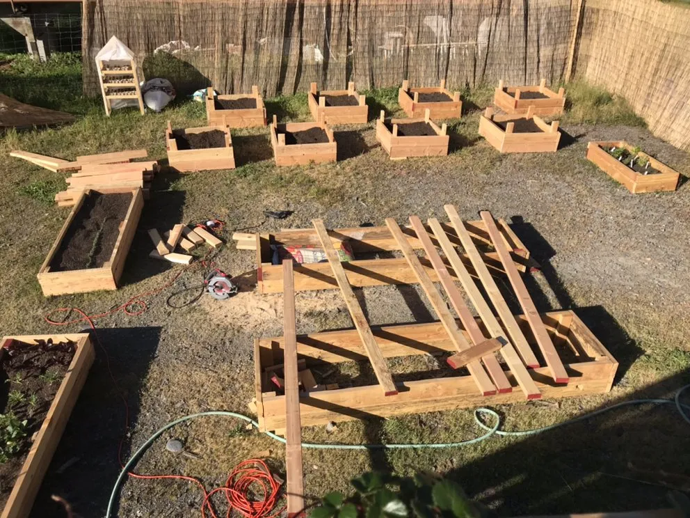 Custom lawn mowing service for year-round maintenance in Nederland, CO by GreenLeaf Organics Home and Garden