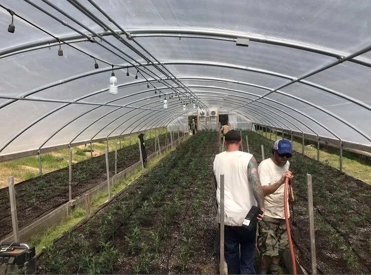 Top-rated lawn mowing service for year-round maintenance in Nederland, CO by GreenLeaf Organics Home and Garden