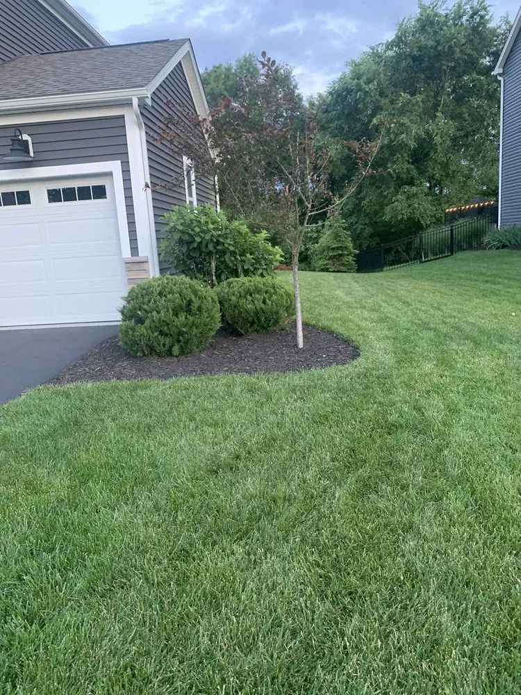 Expert lawn care service for beautiful yards across Delaware, OH - Greenleaf Services
