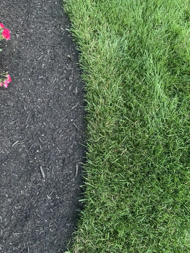 Affordable lawn mowing service in Delaware, OH by Greenleaf Services