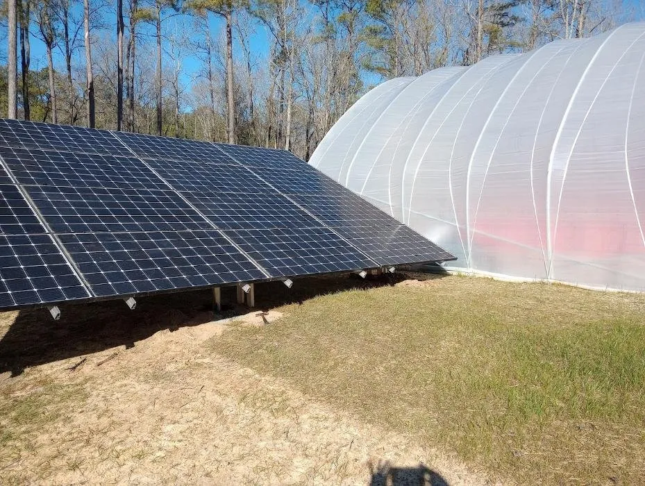 Reliable landscaping services with custom design in Ridge Spring, SC by Greenleaf Solar