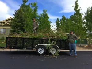 Professional outdoor landscaping experts serving Park City, UT - Greenleaf Tree & Pest Control