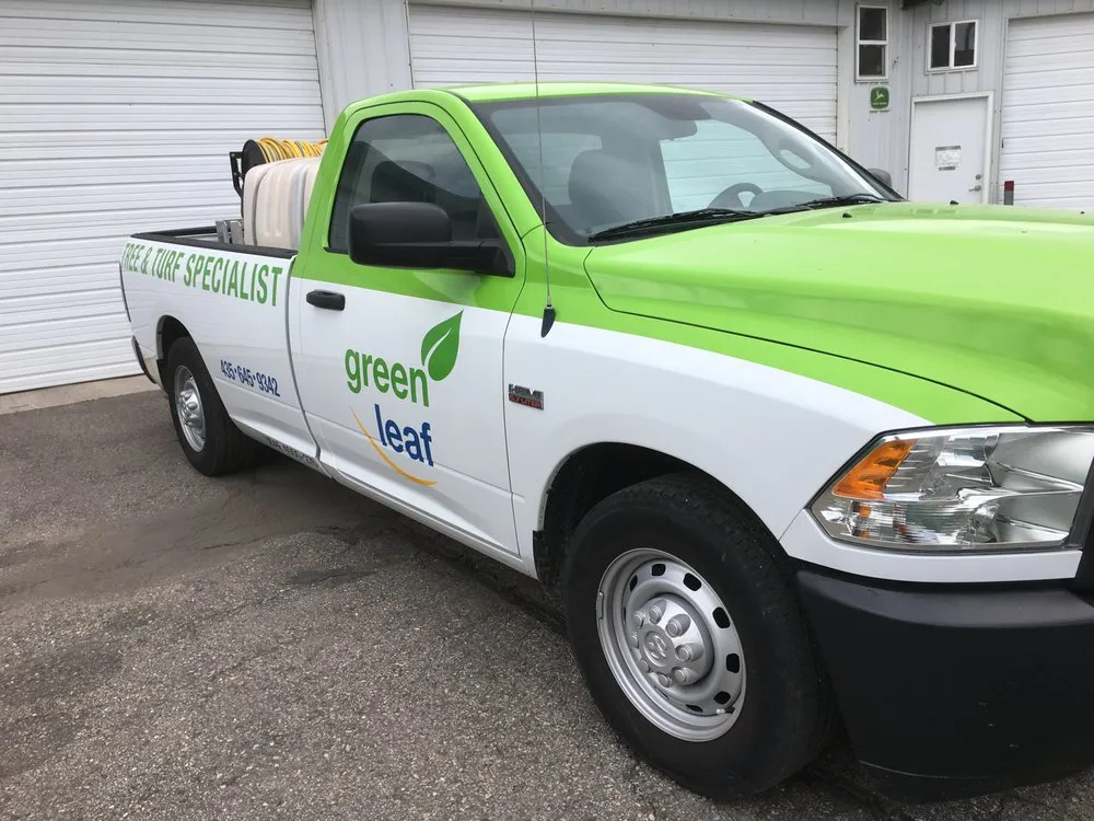 Top-rated yard cleanup service in Park City, UT - Greenleaf Tree & Pest Control