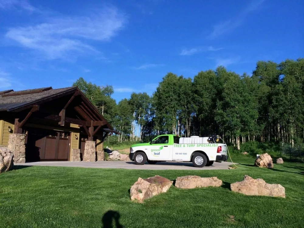 Affordable yard maintenance experts serving Park City, UT - Greenleaf Tree & Pest Control