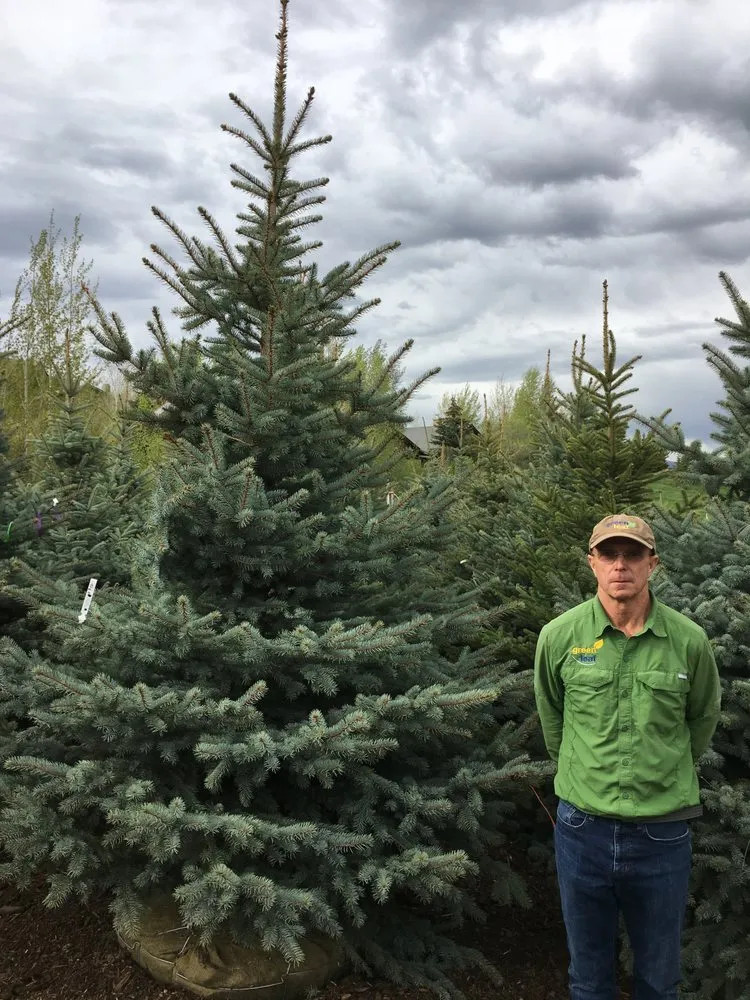 Local residential landscaping in Park City, UT - Greenleaf Tree & Pest Control