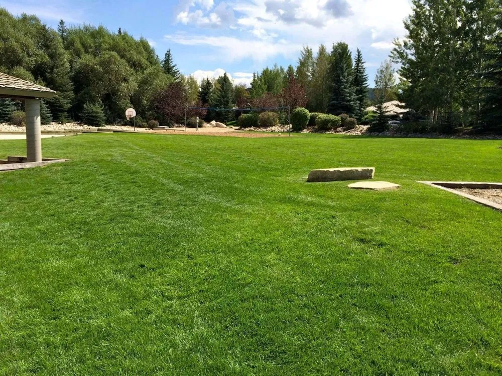 Trusted landscaping services experts serving Park City, UT - Greenleaf Tree & Pest Control
