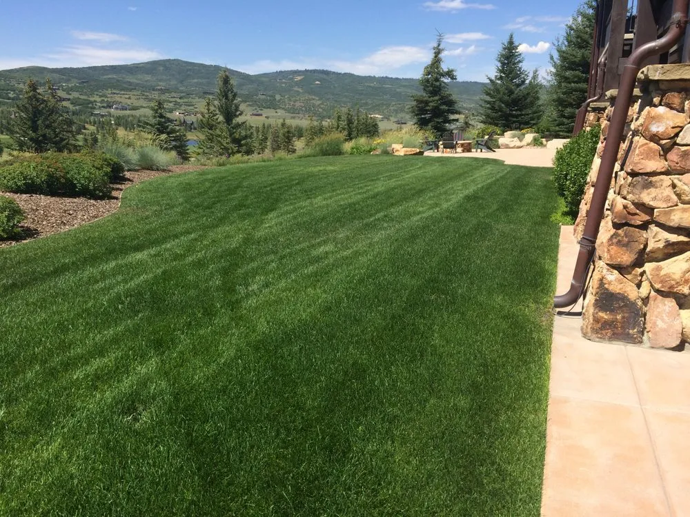 Reliable lawn mowing service in Park City, UT - Greenleaf Tree & Pest Control