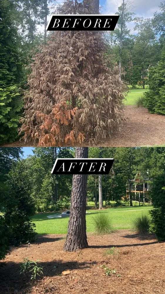 Professional outdoor landscaping in Eatonton, GA by Greenleaf Yard Services