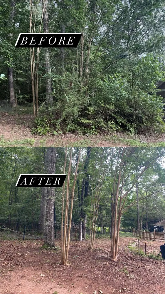 Affordable yard cleanup service for year-round maintenance in Eatonton, GA by Greenleaf Yard Services