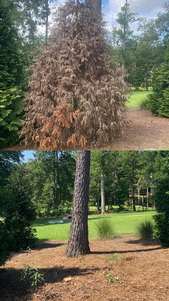 Reliable garden landscaping experts serving Eatonton, GA - Greenleaf Yard Services