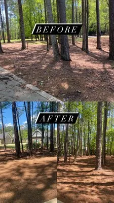 Greenleaf Yard Services