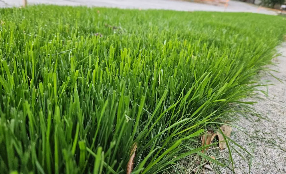 Local landscaping services for outdoor upgrades across Kansas City, MO - Greenleap Lawns