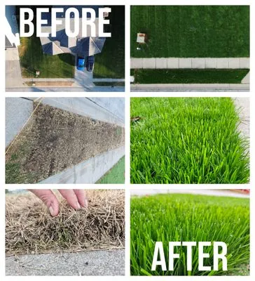 Greenleap Lawns Logo