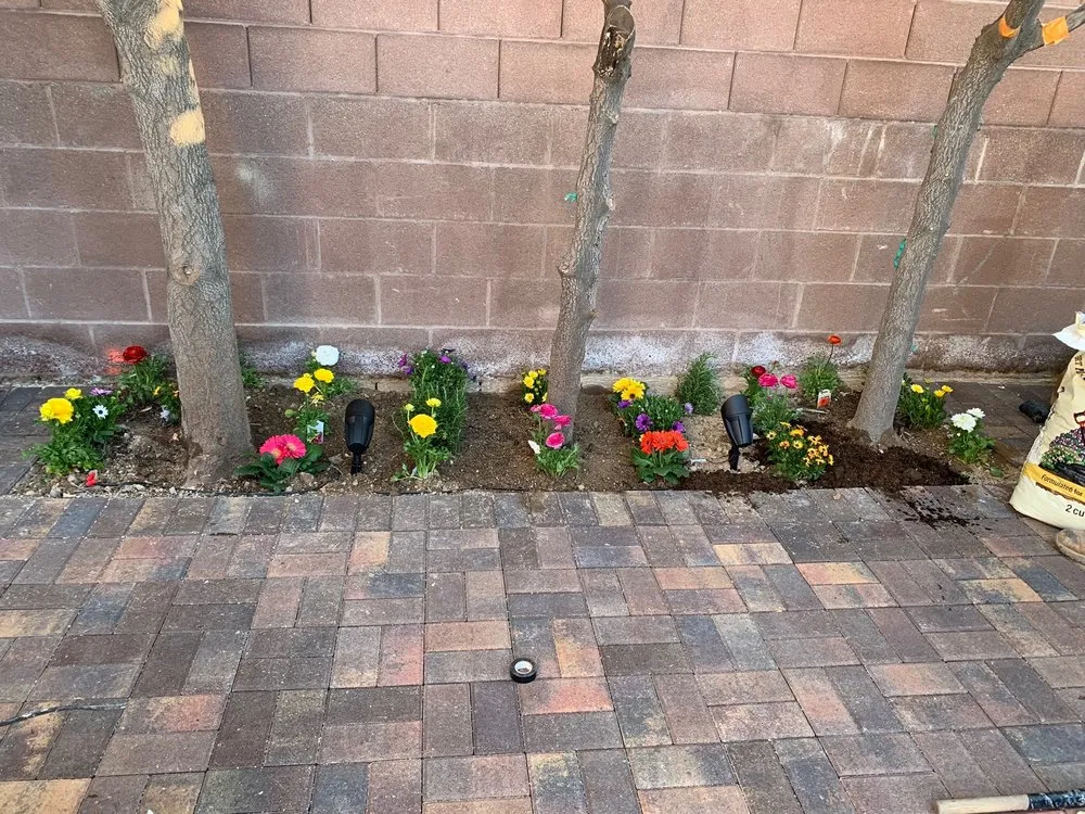 Reliable garden landscaping experts serving Las Vegas, NV - GreenLeaves Landscaping