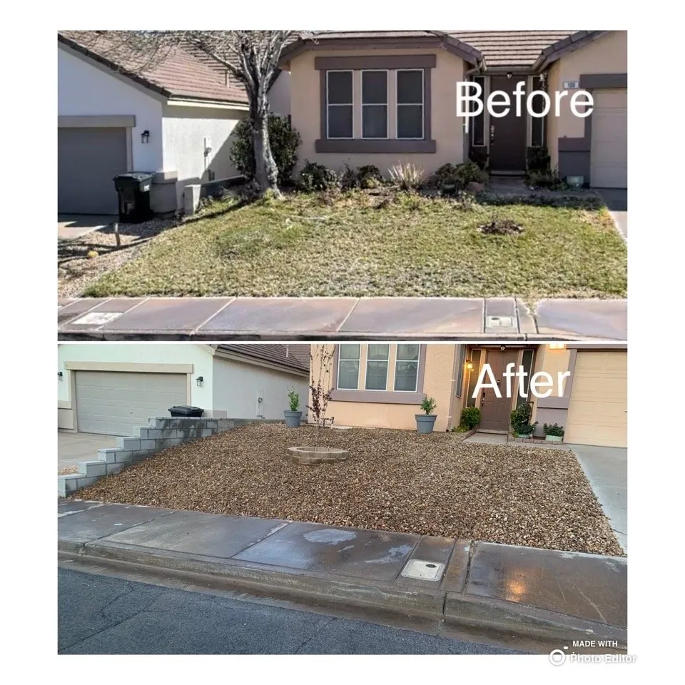 Top-rated yard cleanup service experts serving Las Vegas, NV - GreenLeaves Landscaping