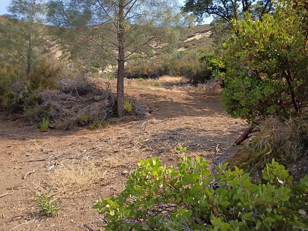 Expert residential landscaping for beautiful yards across Clearlake, CA - Greenlee Skid Steer