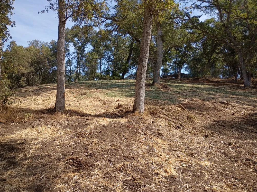 Trusted lawn care service experts serving Clearlake, CA - Greenlee Skid Steer