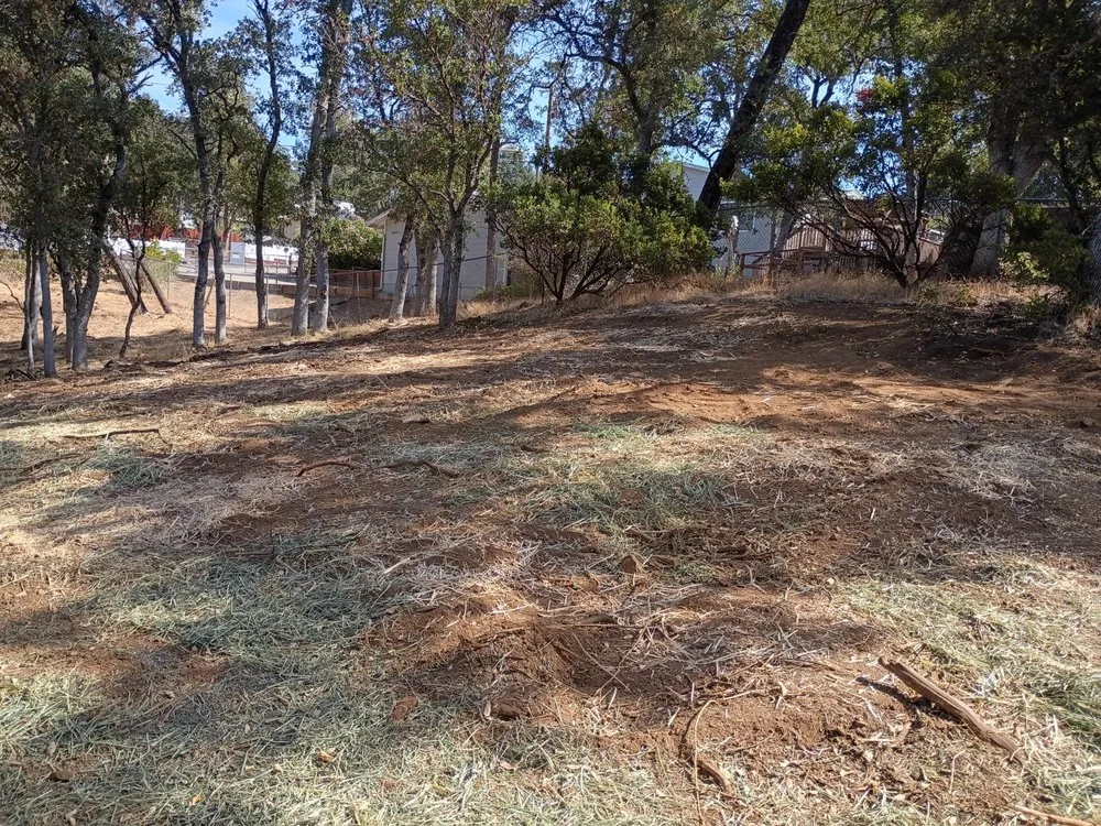 Local lawn mowing service experts serving Clearlake, CA - Greenlee Skid Steer