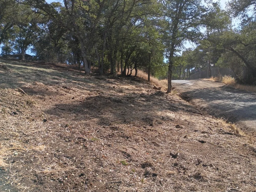 Trusted lawn mowing service experts serving Clearlake, CA - Greenlee Skid Steer