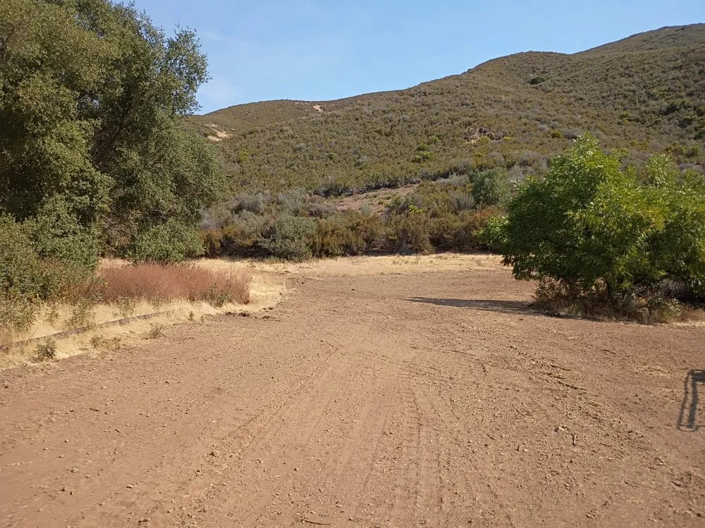 Top-rated lawn mowing service for homes in Clearlake, CA by Greenlee Skid Steer